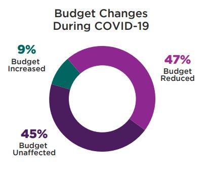 Budget Changes During C19