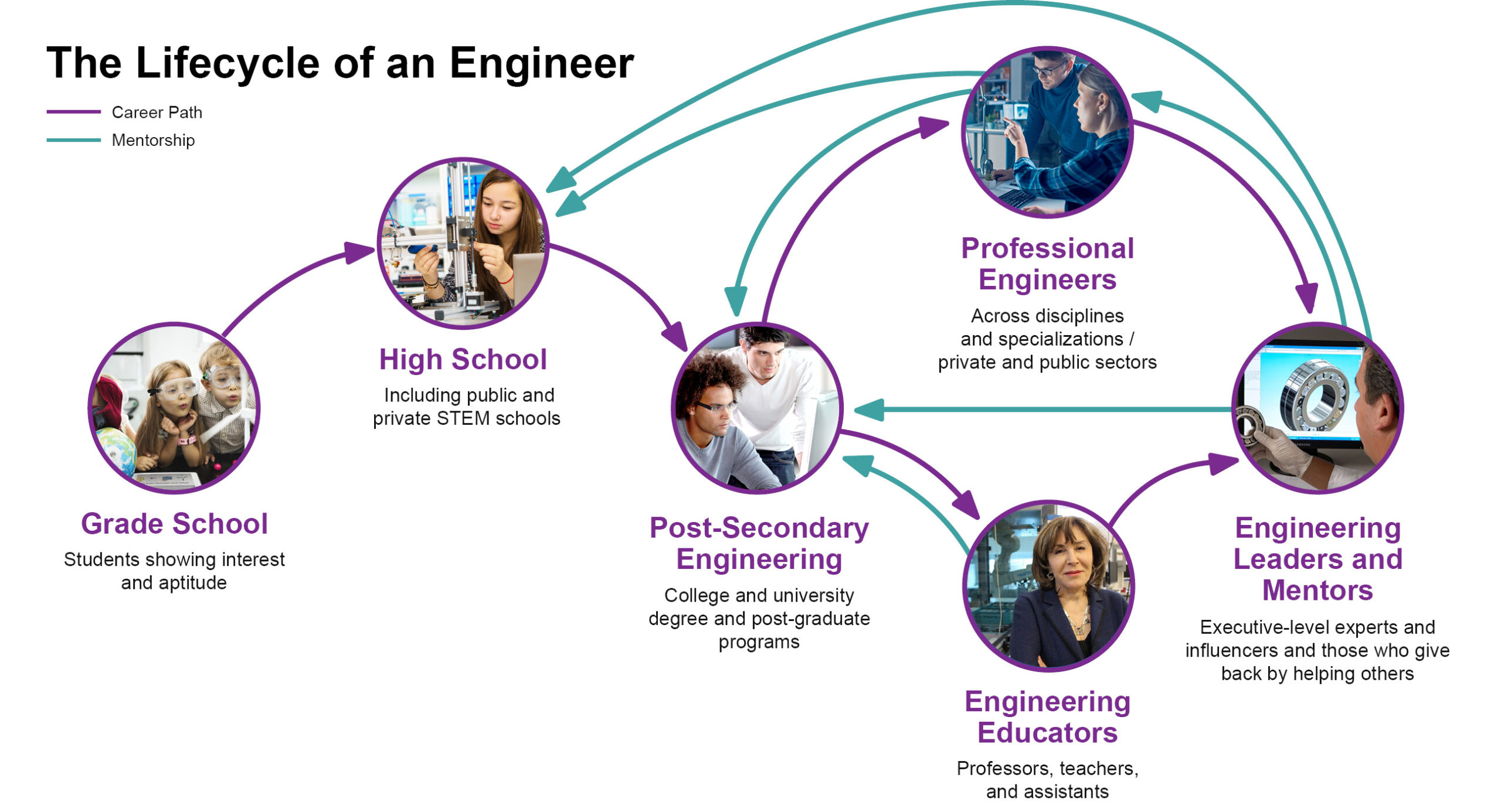 LIficycle of an Engineer 3