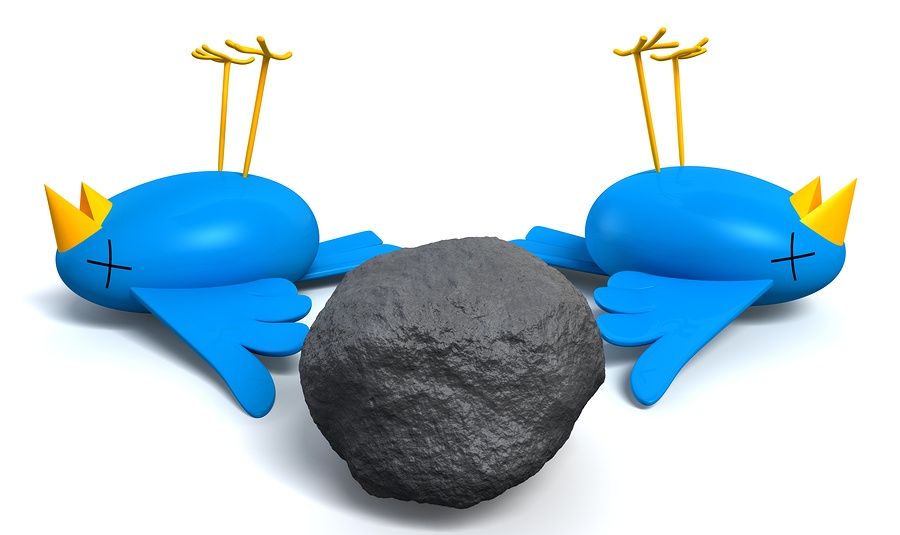 bigstock-Kill-Two-Birds-With-One-Stone-63039397.jpg